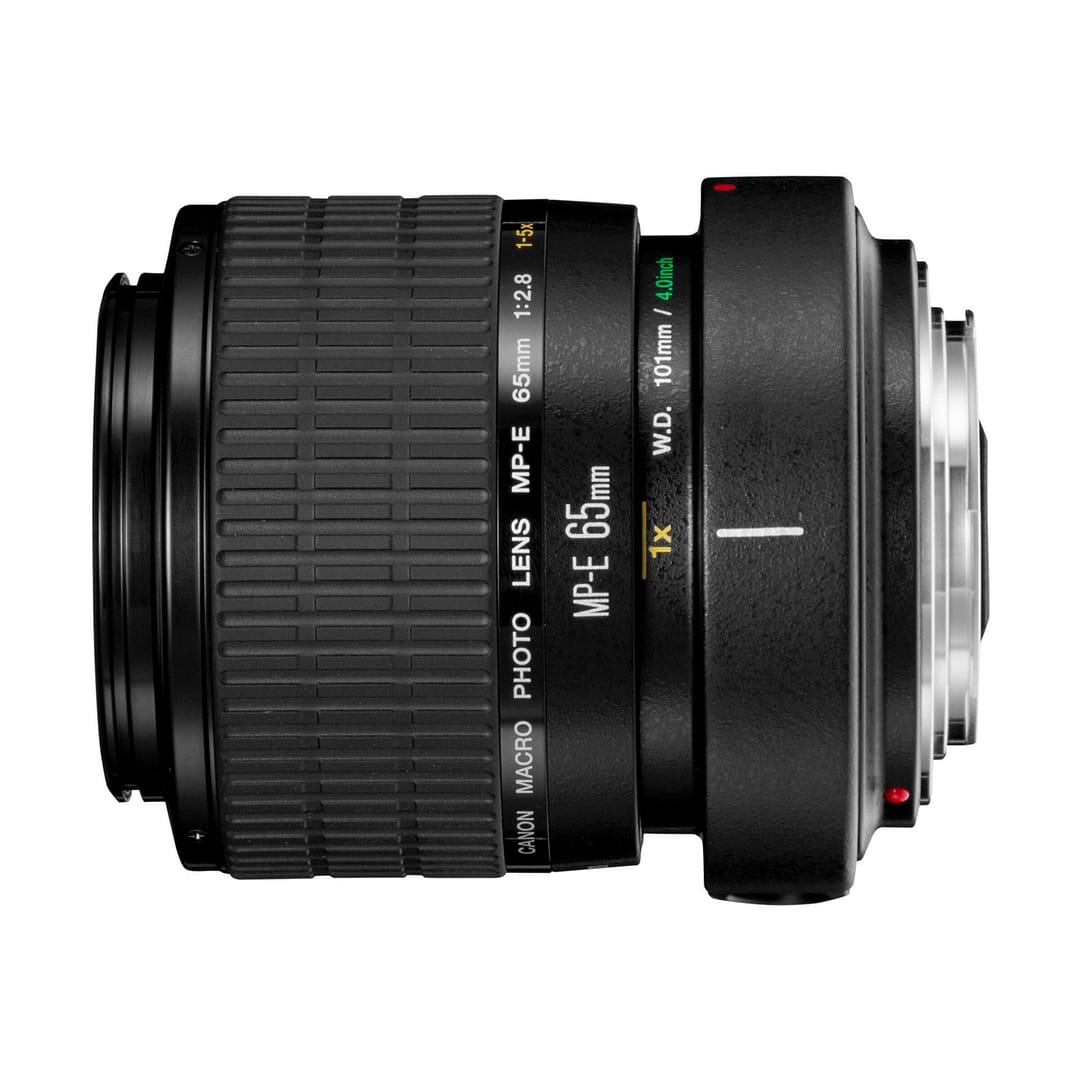 Canon MP-E 65mm f/2,8 Macro