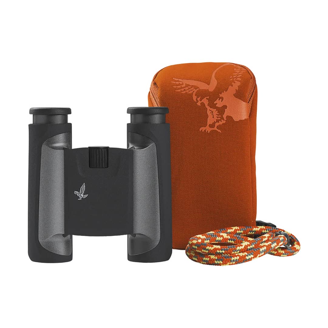 swarovskiclpocketmoanthracite01